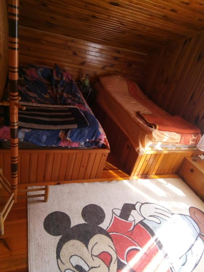Takovo - Odmor U Selu Villa Gornji Milanovac Eksteriør bilde