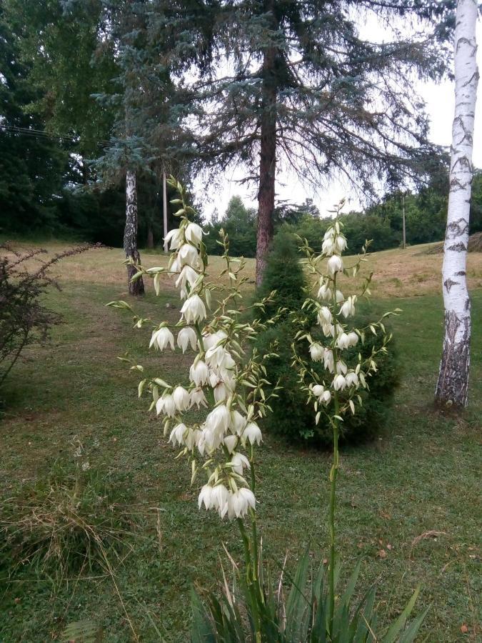 Takovo - Odmor U Selu Villa Gornji Milanovac Eksteriør bilde