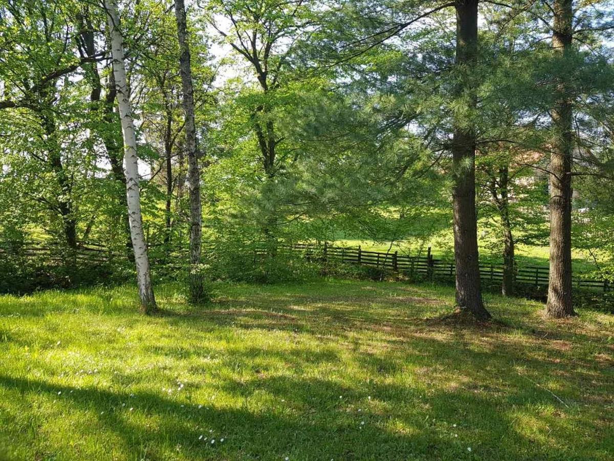 Takovo - Odmor U Selu Villa Gornji Milanovac Eksteriør bilde