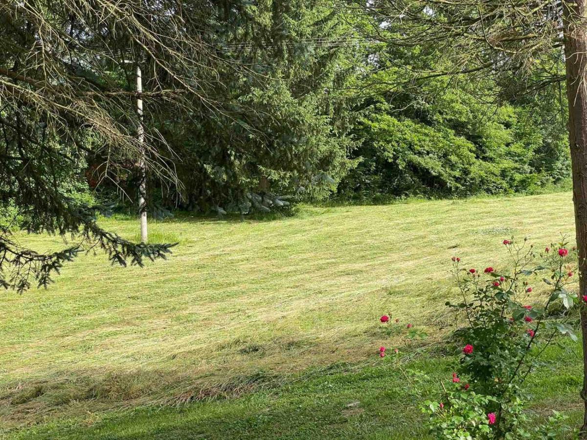 Takovo - Odmor U Selu Villa Gornji Milanovac Eksteriør bilde