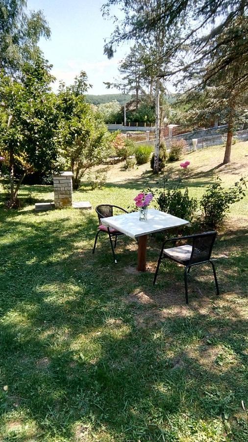 Takovo - Odmor U Selu Villa Gornji Milanovac Eksteriør bilde