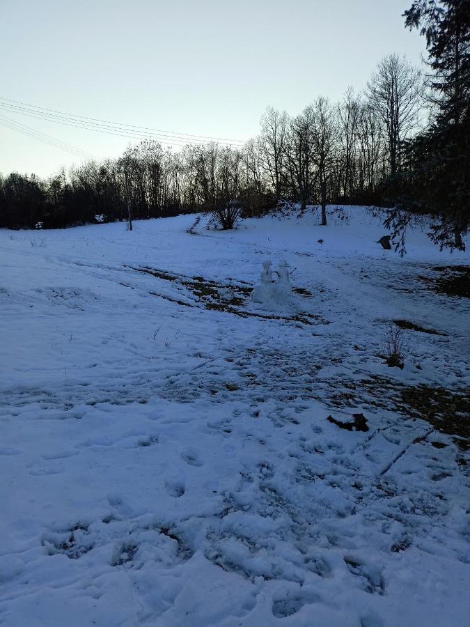 Takovo - Odmor U Selu Villa Gornji Milanovac Eksteriør bilde