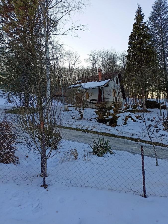 Takovo - Odmor U Selu Villa Gornji Milanovac Eksteriør bilde