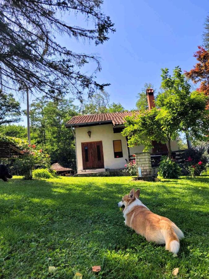 Takovo - Odmor U Selu Villa Gornji Milanovac Eksteriør bilde